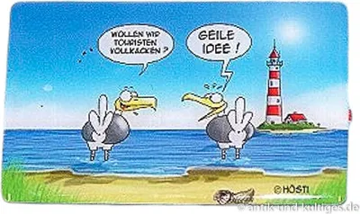 Produktbild von Kühlschrankmagnet Touristen vollkacken Hösti Magnet Möwe maritime Deko