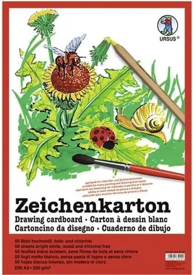 Produktbild von Zeichenkarton 200g/qm A3 VE=50 Bogen