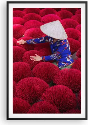 Produktbild von Gerahmtes Poster - Schwarzer Rahmen - Trocknen Weihrauch Vietnam - 61x91,5 cm - Wand Bild - Wanddeko - Wandbilder - Kunstposter - Wandposter - Bilderrahmen - Bilder - Kunstdruck - P2BPA61x91-4655