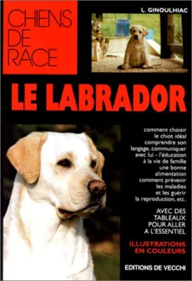 Image de Le labrador