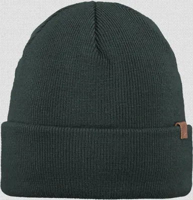 Image de BARTS Casquette unie - Willes Beanie, One Size, uni vert foncé