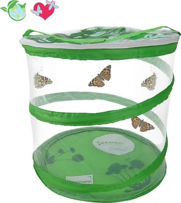 Produktbild von TimeTEX Schmetterlings-Netz, 30 cm hoch, 30 cm ø