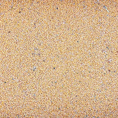 Produktbild von Gelbsenf Gründünger 2kg ganze Körner ganz Bienenfreundlicher gelb weißer Senf für Zwischenfrüchte Bodenverbesserungsmittel bienenfreundlich