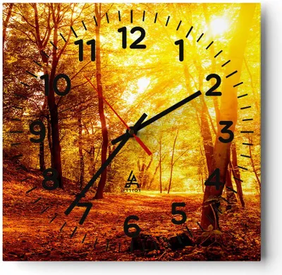 Produktbild von Wanduhr - Quadrat - Glasuhr - Wald Baum Natur - 40x40cm - Schleichendes Uhrwerk - Lautlos - zum Aufhängen bereit - Dekoration Modern - Wanddekoration aus Glas - C4AC40x40-3722