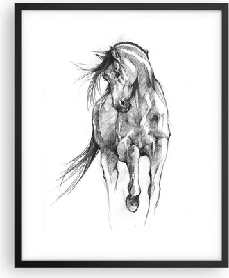 Produktbild von Gerahmtes Poster - Schwarzer Rahmen - Pferd Galopp Tier - 40x50 cm - Wand Bild - Wanddeko - Wandbilder - Kunstposter - Wandposter - Bilderrahmen - Bilder - Kunstdruck - P2BPA40x50-5080