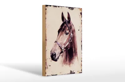 Produktbild von Holzschild Retro 20x30cm Portrait Pferd Kopf Schild