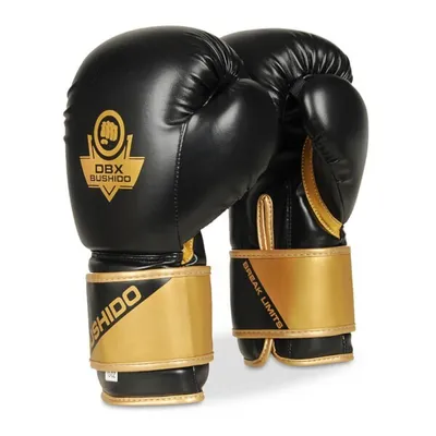 Immagine prodotto di Guanti da boxe DBX BUSHIDO B-2v10 16oz.