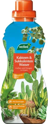 Produktbild von Westland Kakteen- & Sukkulenten Wasser 720 ml