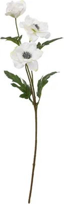 Produktbild von Atmosphera 189133A, 1 Stück(e)