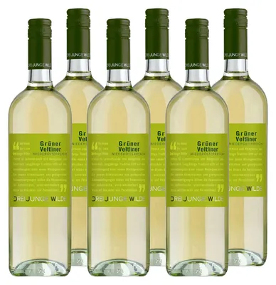 Produktbild von Grüner Veltliner "Drei Junge Wilde" NÖ QUW Weißwein Niederösterreich trocken (6 x 0.75l)