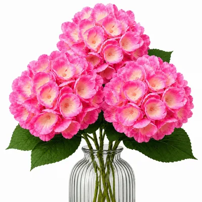 Produktbild von G.blümt Künstliche Hortensien 64 cm lang, Kunstblumen Real Touch wie echt, Rosa 3 Stück