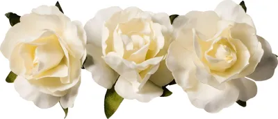 Produktbild von KNORR PRANDELL Dekostreu Blumen Papierblume Ø 25 cm Papier creme