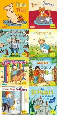 Produktbild von Pixi-Box 306: Pixis Lieblingstiere (8x8 Exemplare)