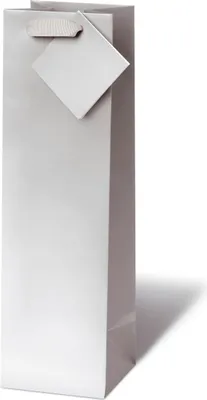 Produktbild von Tasche - Flaschen Format - 36x10,5x10 cm - BSB - Unicolor silver