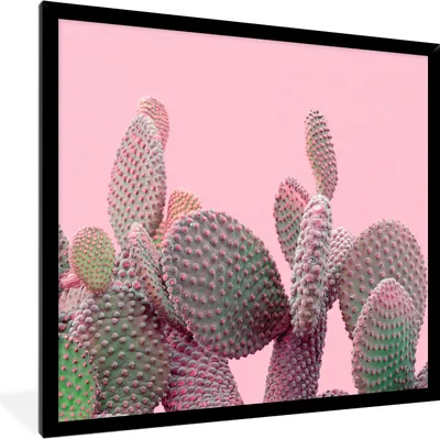 Produktbild von MuchoWow® Gerahmtes Poster Kaktus - Pflanzen - Sommer 40x40 cm - Poster mit Schwarzem Bilderrahmen Wandposter Rahmen Foto Bilder - Mit Rahmen - Wanddekoration Schlafzimmer