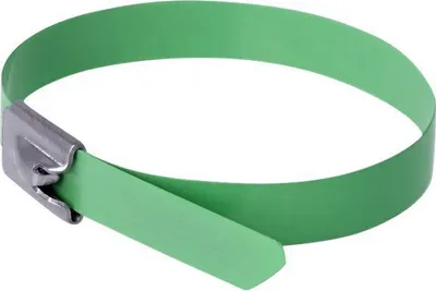 Immagine prodotto di DELOCK Edelstahlkabelbinder L 200 x B 7,9 mm grün 10 Stück