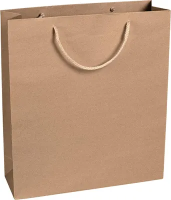 Image de Sacs en papier 36 x 41 x 12 cm, marron, lisses, anse en corde - pack de 12