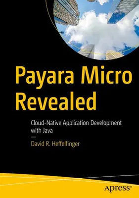 Produktbild von Payara Micro aufgedeckt
