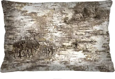 Produktbild von ARCO DESIGN Dekokissen "Birke" Farbig Stoffbezug 40 x 60 cm Dekokissen mit Füllung Dekokissen für Wohnzimmer Schlafzimmer
