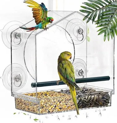 Produktbild von Famanu Vogelhaus für Fenster - mit starken Saugnäpfen und Drainagelöchern