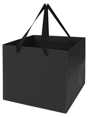 Image de Lot de 10 sacs cadeaux en papier kraft avec anse