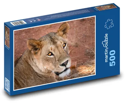 Produktbild von Puzzle 500 Löwin in der afrikanischen Savanne - martinpuzzle