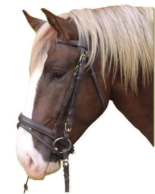 Productafbeelding van Covalliero Hoofdstel XFull Bruin
