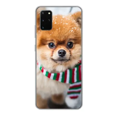 Produktbild von MuchoWow® Handyhülle Schutzhülle Hülle für Samsung Galaxy S20 Plus Hund - Halstuch - Schnee Silikon Softcase Handy Hülle - Hartschale