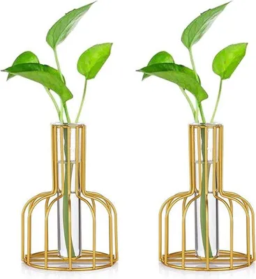 Produktbild von Unyqoos® Reagenzglas‑Pflanzstation 2er‑Set – Glasväschen mit Metallgestell, kleine Hydrokultur‑/Reagenzglas‑Vasen, gold, Ø 10 cm × H 14,5 cm, Tischdeko