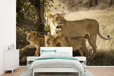Produktbild von MuchoWow® Fototapete für Wohnzimmer oder Schlafzimmer Wandtapete Vinyl Motivtapete Löwen in der Savanne - 600x400 cm - Vinyltapeten
