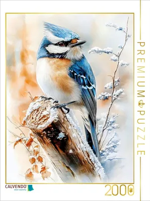 Produktbild von CALVENDO Puzzle Blaumeise | 2000 Teile Lege-Größe 90x67cm Foto-Puzzle für glückliche Stunden