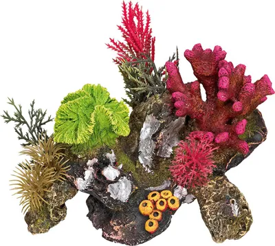 Produktbild von Aqua Ornaments "KORALLE" mit Pflanzen 17 x 12,5 x 12 cm