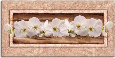 Produktbild von ARTland Leinwandbild Weiße Orchideen braun gold Größe: 150x75 cm