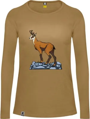 Produktbild von Alpinus Tshirts Varena W, SI18021, Größe: 152