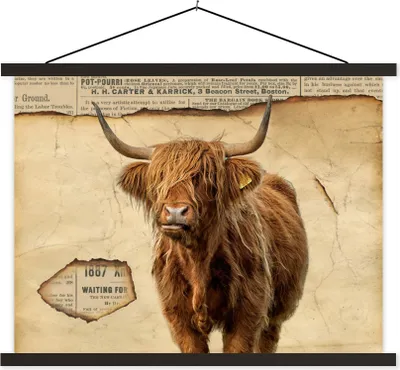 Produktbild von MuchoWow® Textilposter Hochlandrind - Vintage - Zeitungsartikel 150x113 cm mit schwarzem Rahmen - Wohnzimmer