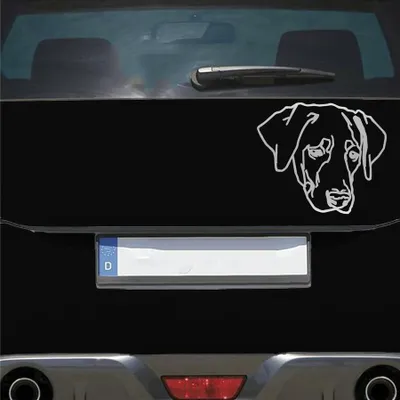 Produktbild von Auto Aufkleber Labrador LABI Labbi Hund Dog Hundekopf Hundefreund 15x13 cm Silber Sticker Heckscheibenaufkleber