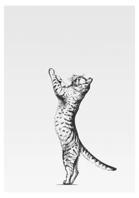 Produktbild von Geschirrtuch weiß mit grauer Katzensilhouette