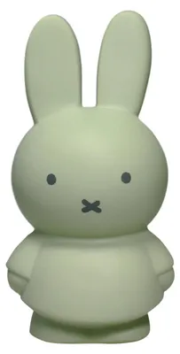 Produktbild von Atelier Pierre Miffy Mini Spardose Eucalyptus