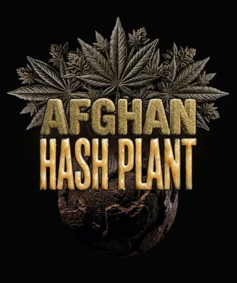 Produktbild von 3x Afghan Hashplant Auto Feminisiert Samen
