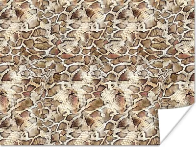 Obrázok produktu pre MuchoWow® Plagát - Had - Zvieratá - Dizajn - 80x60