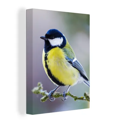 Produktbild von OneMillionCanvasses® - Leinwandbilder - Bild auf Leinwand Wandbild Leinwandbild Kohlmeise - Vogel - Zweig, 30x40 cm, Kunstdruck Wandkunst Gemälde auf Holzrahmen
