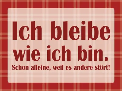 Produktbild von vianmo Holzschild 30x40 cm Ich bleibe wie ich bin