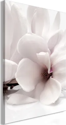 Produktbild von Italienischer Leinwand Leinwandbild - Blooming Light (1 Part) Vertical 80x120 cm Blumen b-C-0833-b-a
