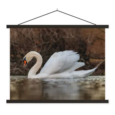 Produktbild von MuchoWow® Textilposter Schwan - Wasser - Tiere - Vogel 120x90 cm mit schwarzem Rahmen - Aufhänger für Poster