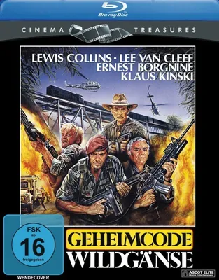 Produktbild von Geheimcode Wildgänse