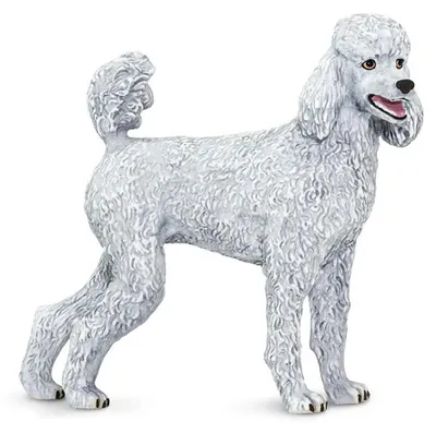 Produktbild von Safari Ltd Pudelfigur Grau From 3 Years Kinder Grau From 3 Years