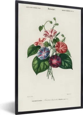 Produktbild von MuchoWow® MuchoWow® Gerahmtes Poster Blumen - Vintage - Blatt 40x60 cm - Poster mit zchwarzem Bilderrahmen - Papierdruck - Wandbilder