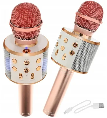 Obrázek produktu pro WSTER WS-858 Karaoke bluetooth mikrofon růžová