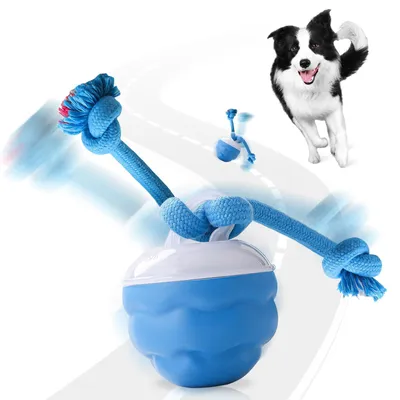Image de Jouet pour chien, balle interactive pour animaux de compagnie, balle pour chien, balle jouet pour chiots, balle électrique pour chien avec cordes à mâcher, fonctionnement automatique, couleur bleue