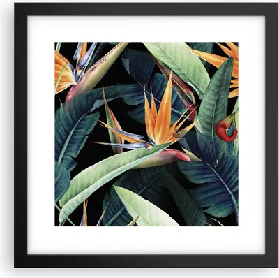 Produktbild von Gerahmtes Poster - Schwarzer Rahmen - Pflanze Tropisch Blume - 30x30 cm - Wand Bild - Wanddeko - Wandbilder - Kunstposter - Wandposter - Bilderrahmen - Bilder - Kunstdruck - P2BAC30x30-5093